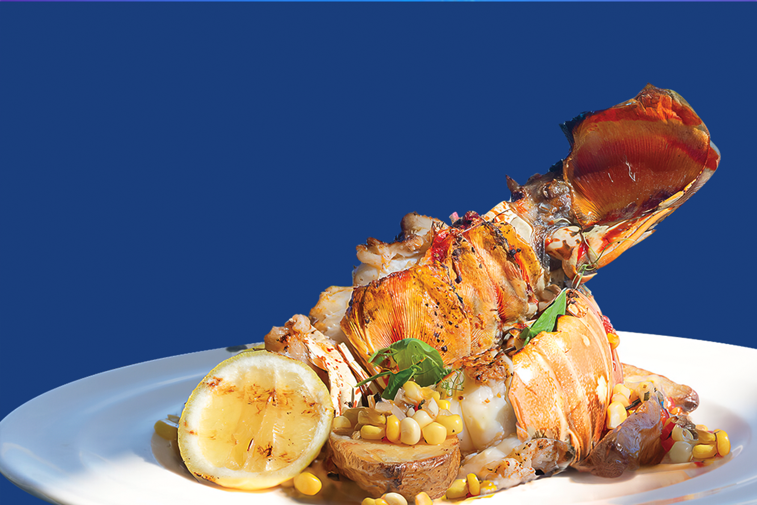 Photo courtesy of The Ocean Club, A Four Seasons Resort, Bahamas.