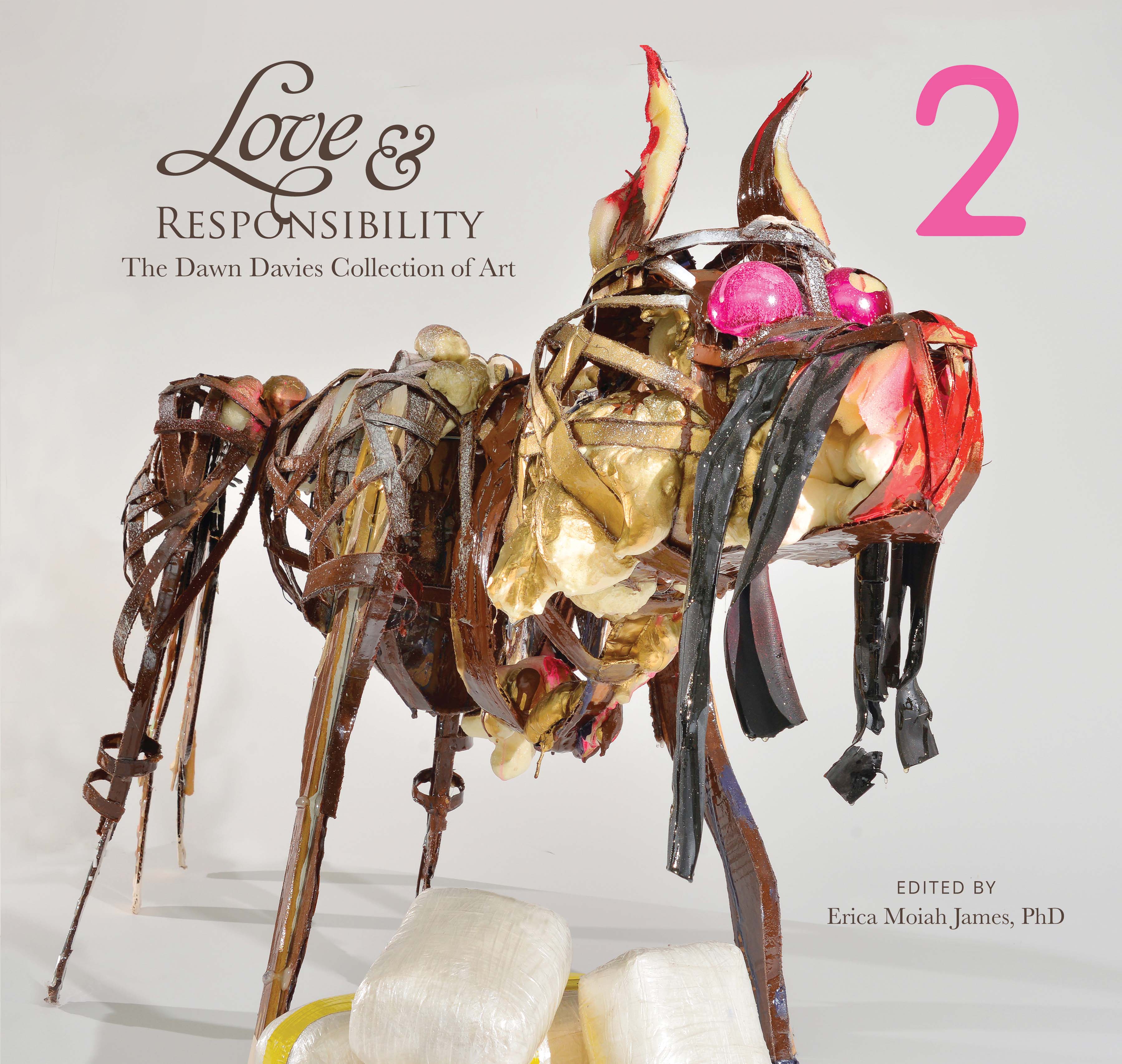 Volume Two of her series, Love & Responsibility; photo courtesy of Dawn Davies.